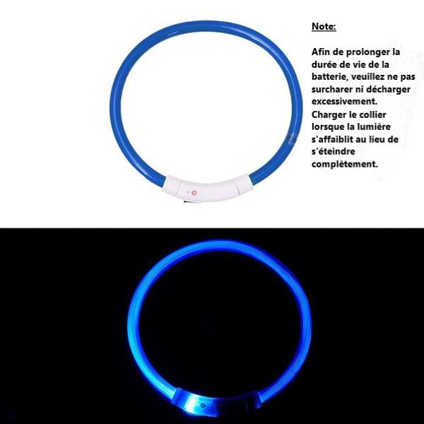 Collier de chien lumineux rechargeable et ajustable