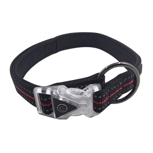 Collier led Waterproof