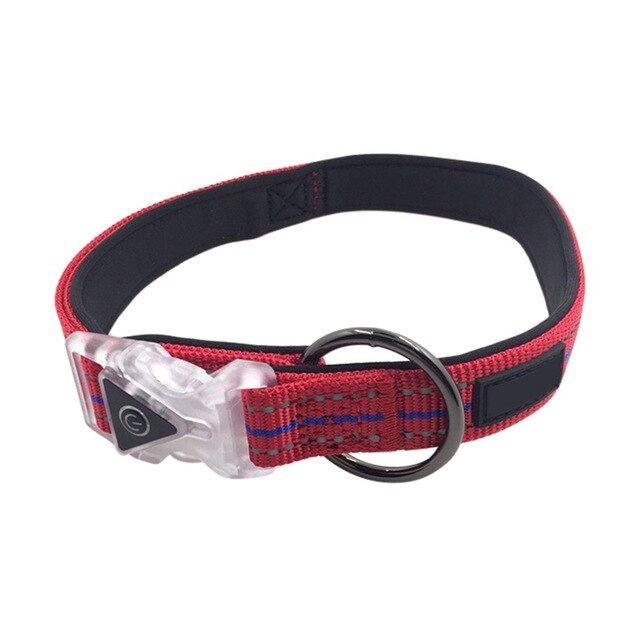 Collier led Waterproof