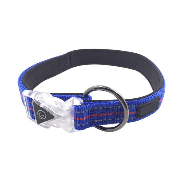 Collier led Waterproof