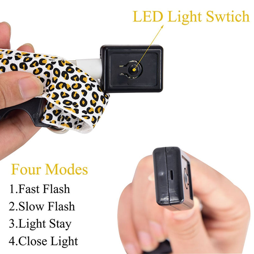Collier lumineux LED imprimé léopard