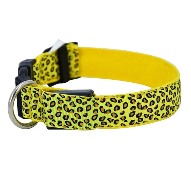 Collier lumineux LED imprimé léopard