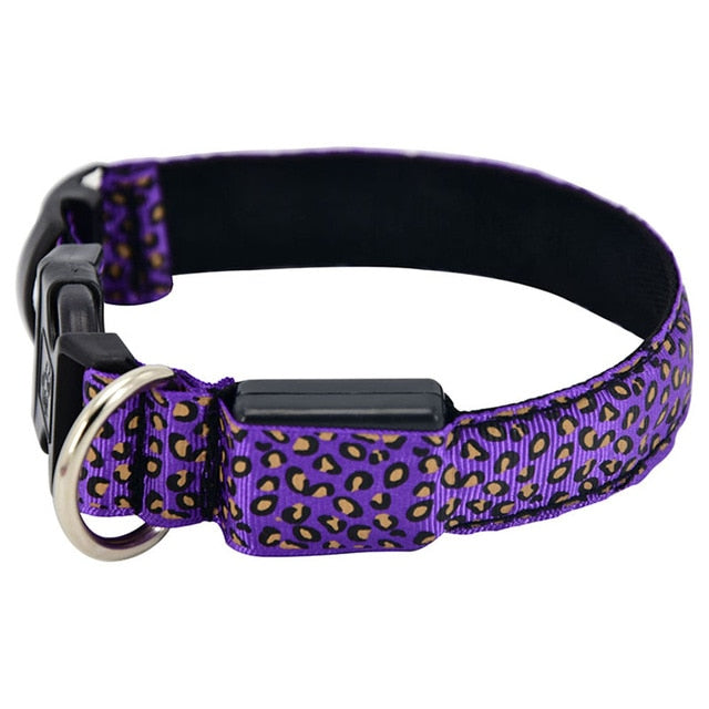 Collier lumineux LED imprimé léopard