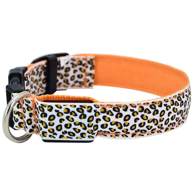 Collier lumineux LED imprimé léopard