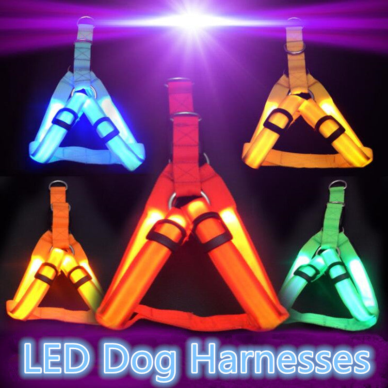 Harnais LED