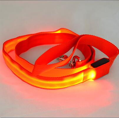 Laisse lumineuse
