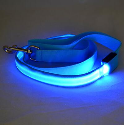 Laisse lumineuse