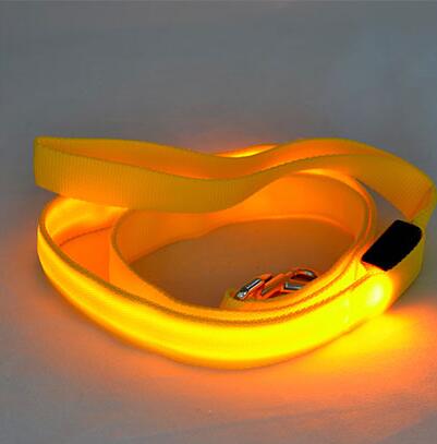 Laisse lumineuse