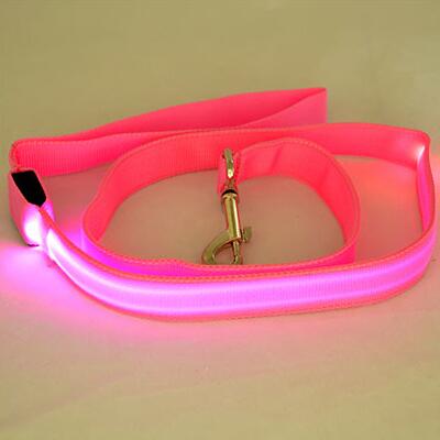 Laisse lumineuse