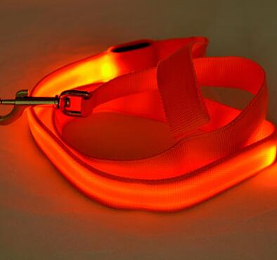 Laisse lumineuse