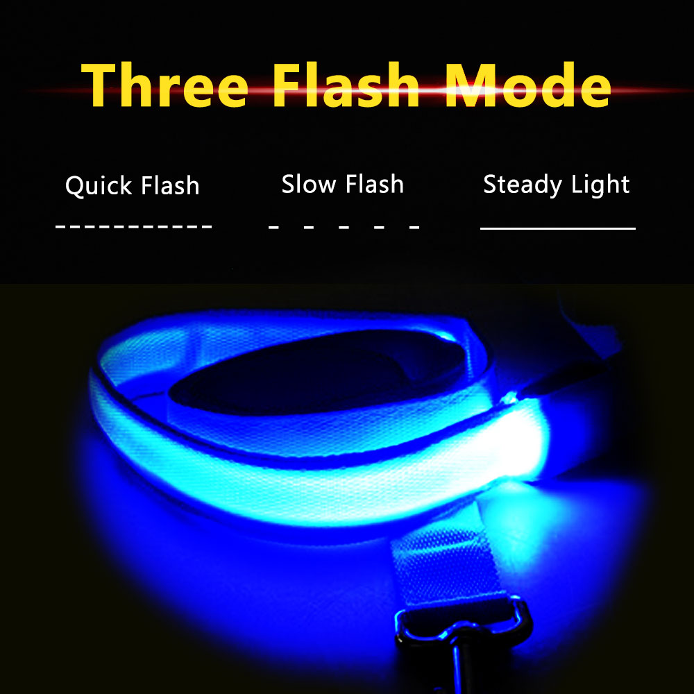 Laisse lumineuse