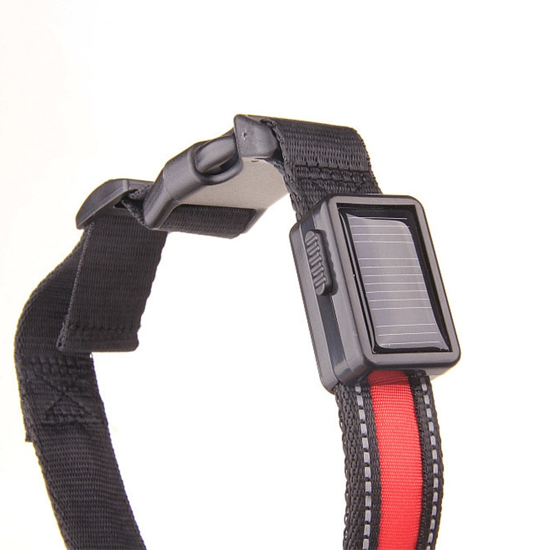 Collier lumineux LED rechargement solaire ou USB