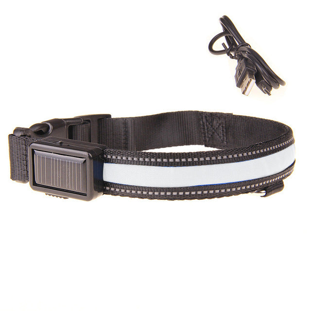 Collier lumineux LED rechargement solaire ou USB