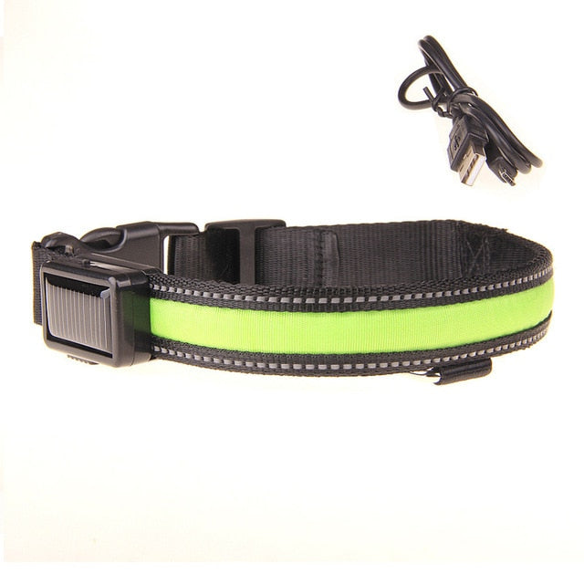 Collier lumineux LED rechargement solaire ou USB