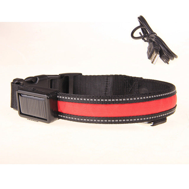 Collier lumineux LED rechargement solaire ou USB