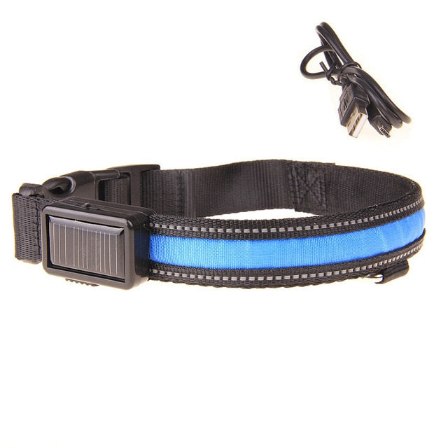 Collier lumineux LED rechargement solaire ou USB