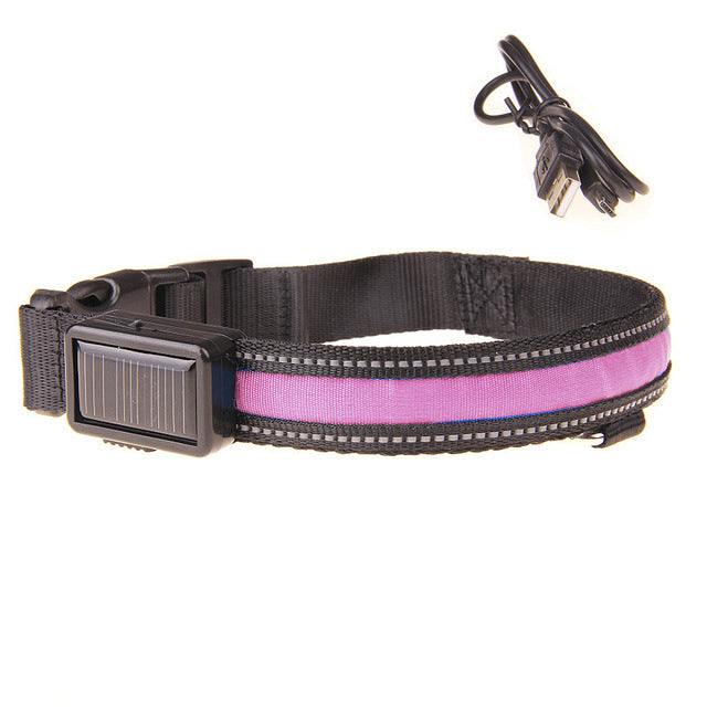 Collier lumineux LED rechargement solaire ou USB