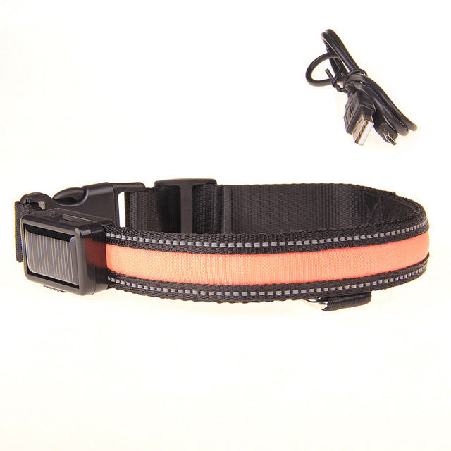 Collier lumineux LED rechargement solaire ou USB