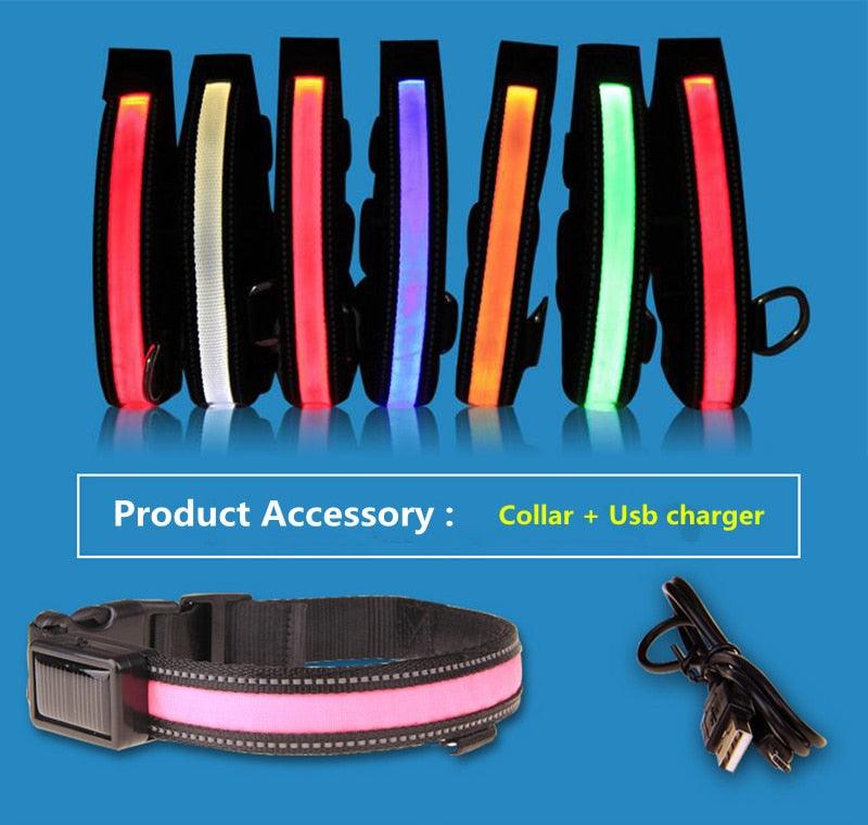 Collier lumineux LED rechargement solaire ou USB