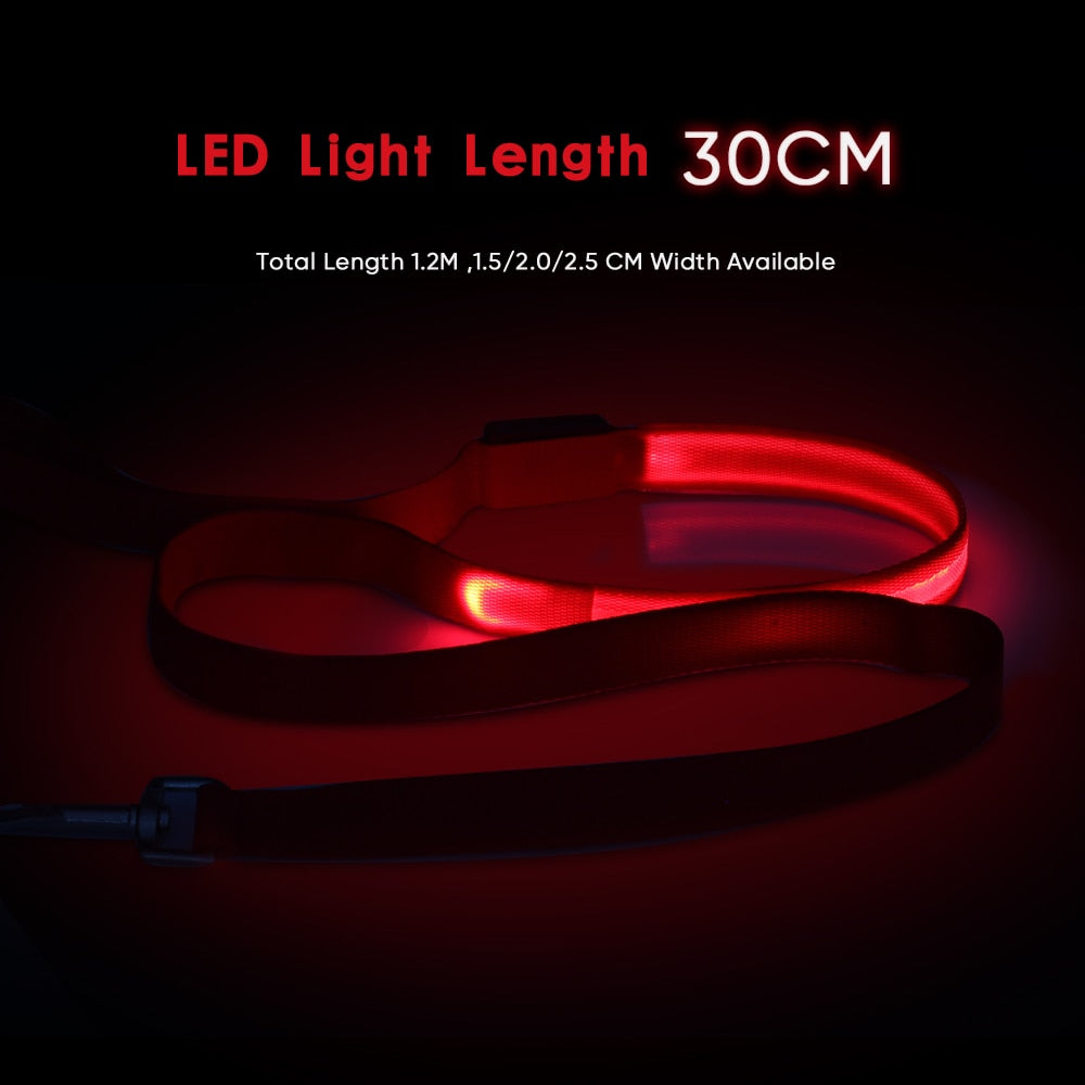 Laisse lumineuse