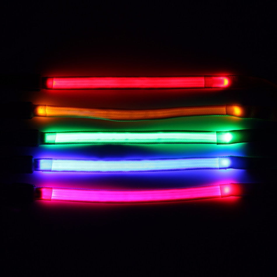 Laisse lumineuse