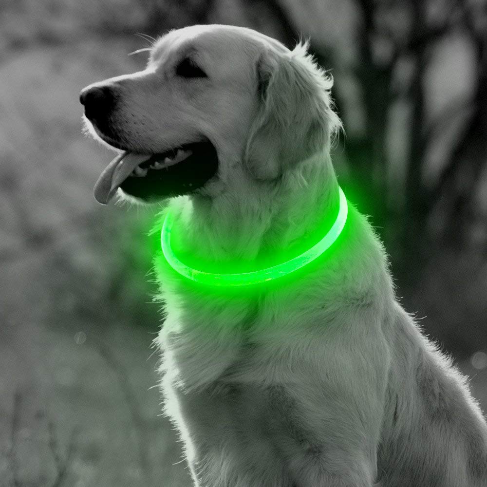 Collier à LED rechargable