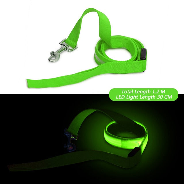 Laisse lumineuse