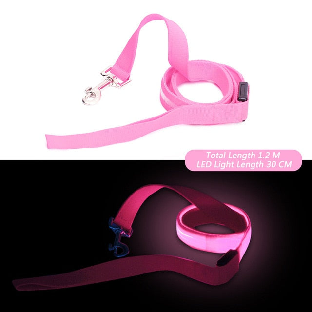 Laisse lumineuse