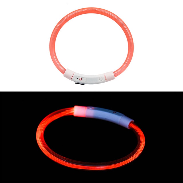 Collier LED rechargeable