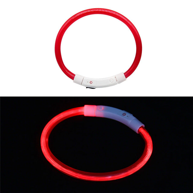 Collier LED rechargeable