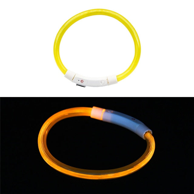 Collier LED rechargeable