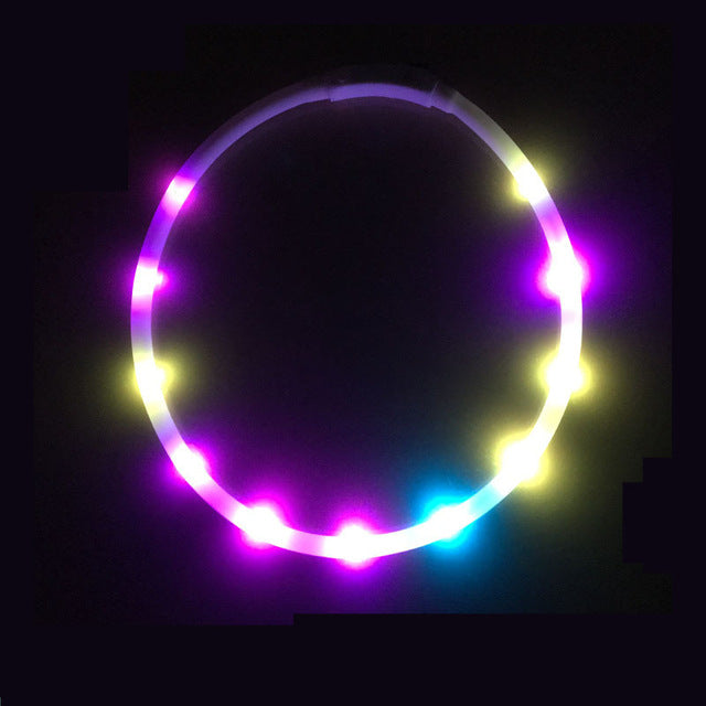Collier lumineux pour chien