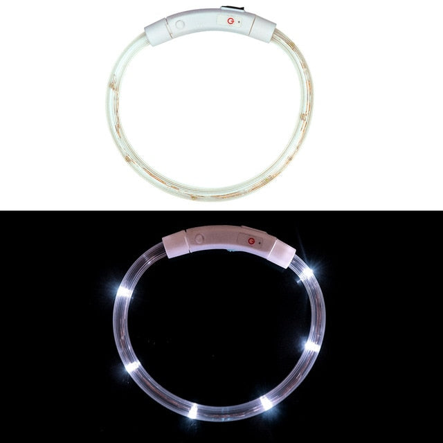 Collier LED rechargeable
