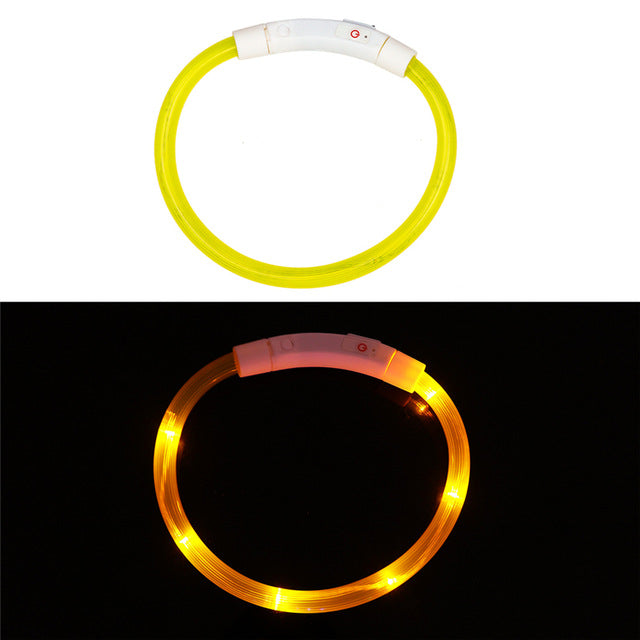 Collier LED rechargeable