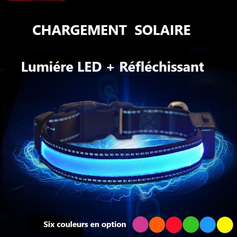 Collier lumineux LED rechargement solaire ou USB