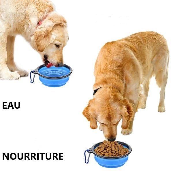 Gamelle pliable pour eau et nourriture