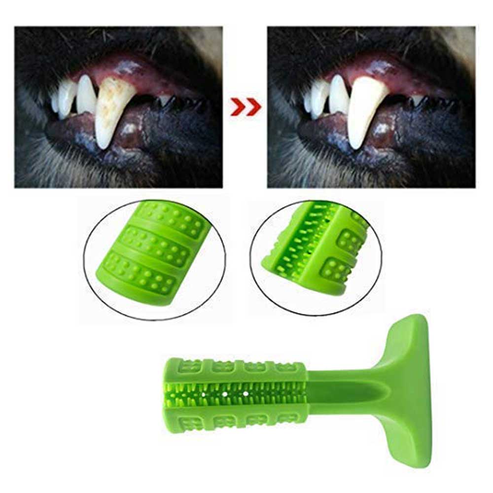 Jouet brosse à dents