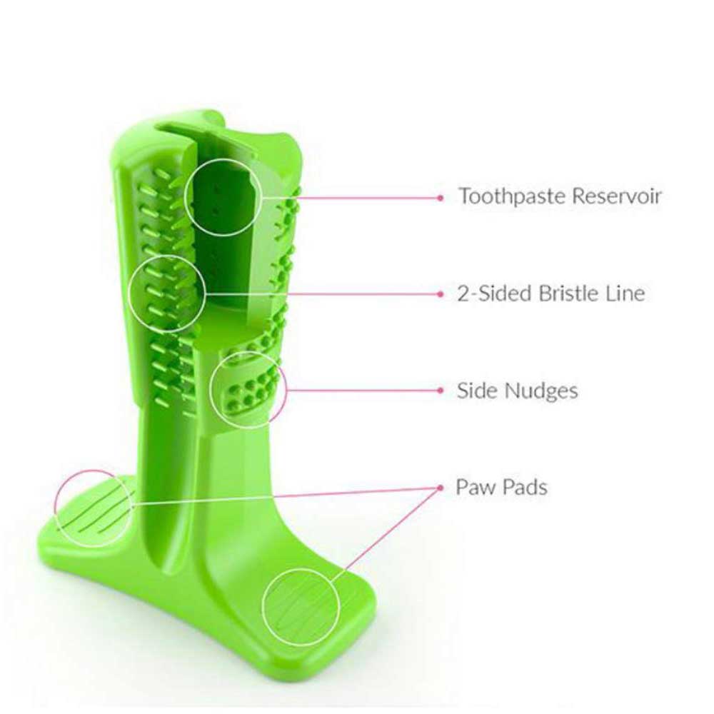 Jouet brosse à dents