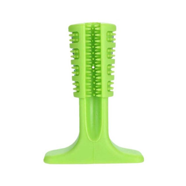 Jouet brosse à dents