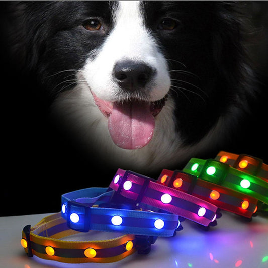Collier lumineux avec LED