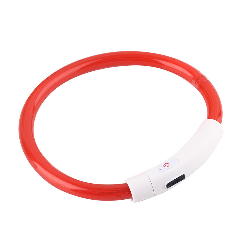 Collier de chien lumineux rechargeable et ajustable