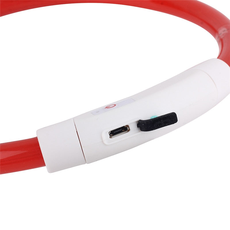 Collier de chien lumineux rechargeable et ajustable