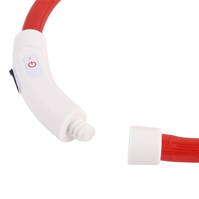 Collier de chien lumineux rechargeable et ajustable