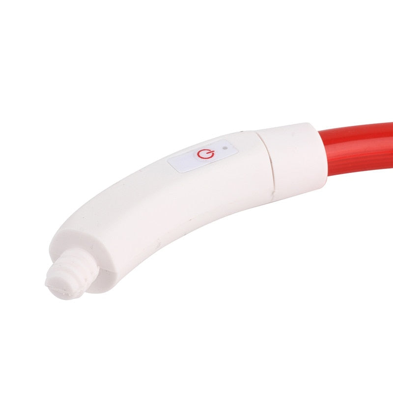 Collier de chien lumineux rechargeable et ajustable