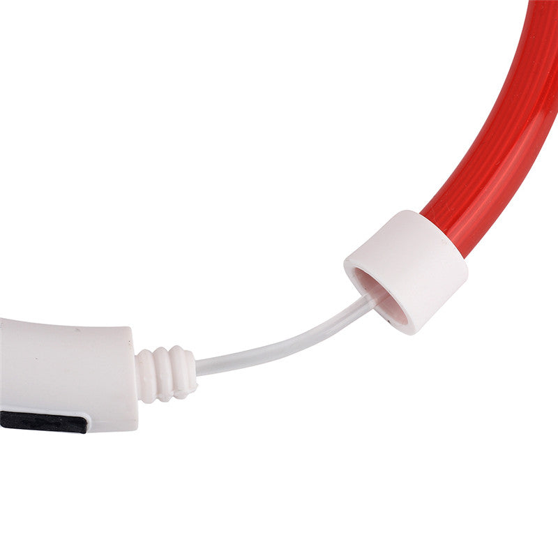 Collier de chien lumineux rechargeable et ajustable