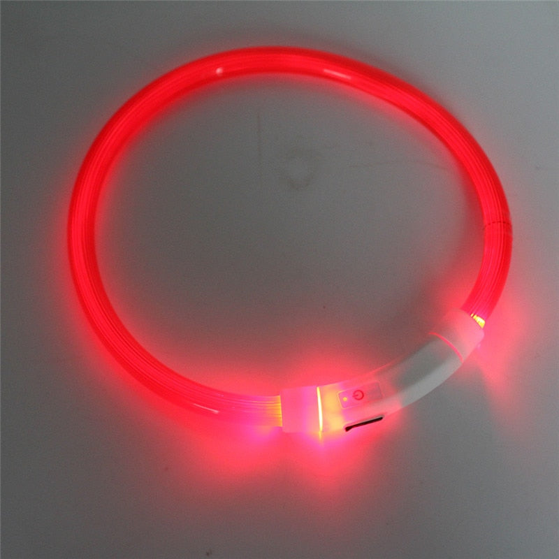 Collier de chien lumineux rechargeable et ajustable