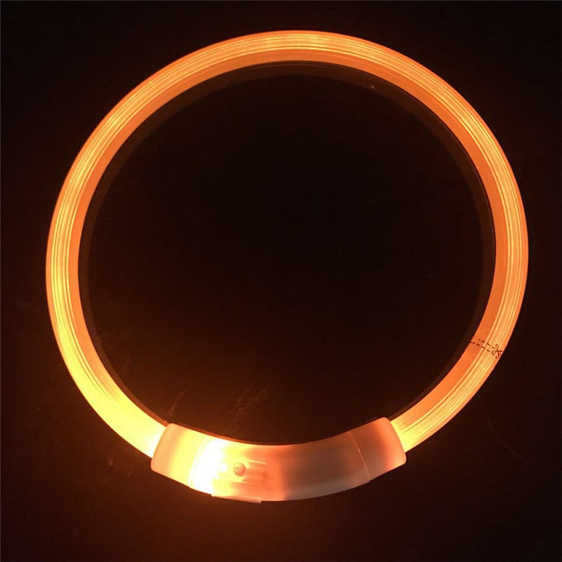Collier de chien lumineux rechargeable et ajustable
