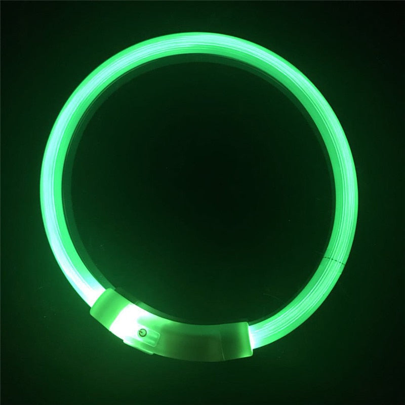 Collier de chien lumineux rechargeable et ajustable