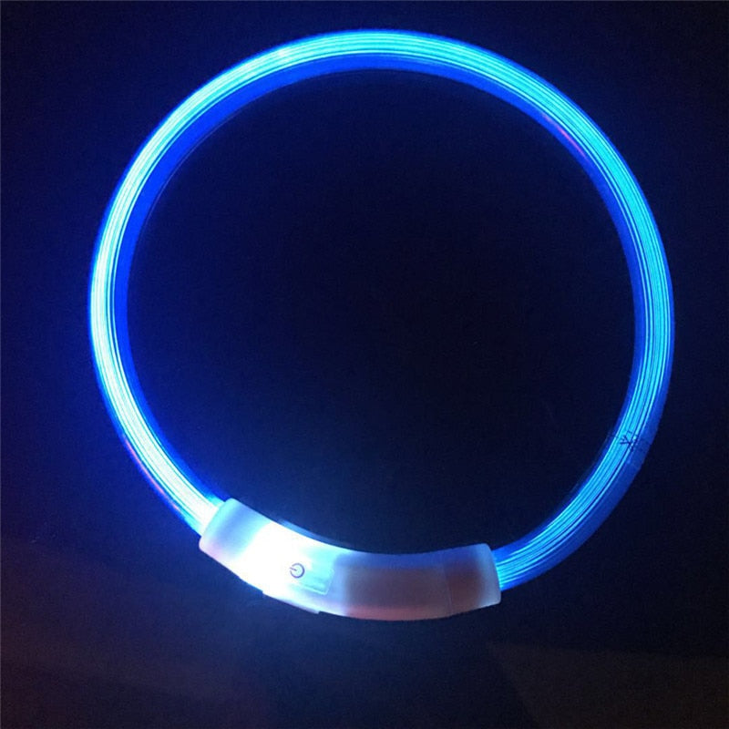 Collier de chien lumineux rechargeable et ajustable