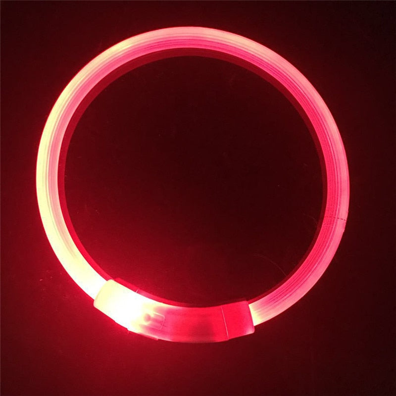 Collier de chien lumineux rechargeable et ajustable